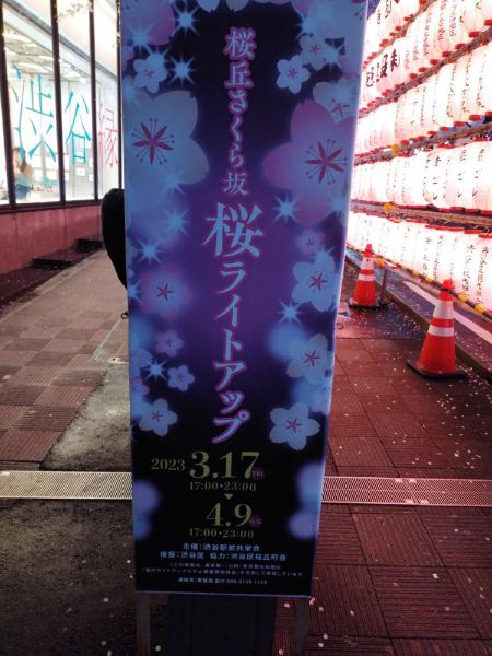 桜丘さくら坂 桜ライトアップの立て看板