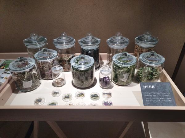ガラス製の容器に入ったたくさんの種類のハーブ