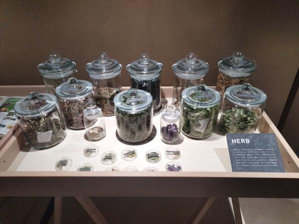 ガラス製の容器に入ったたくさんの種類のハーブ