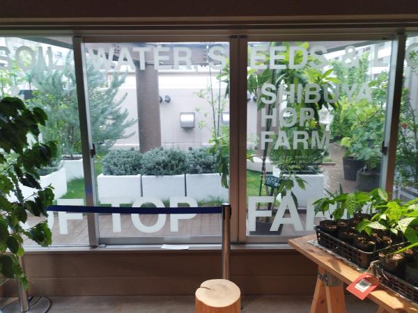 窓ガラス越しの屋上ファーム