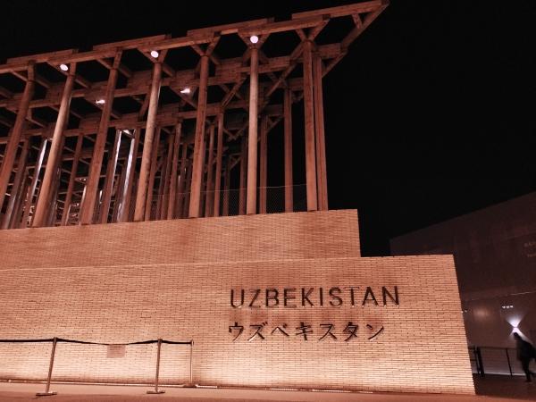 レンガの壁と上部の木組みの構造物が特徴的な、夜のウズベキスタン館。